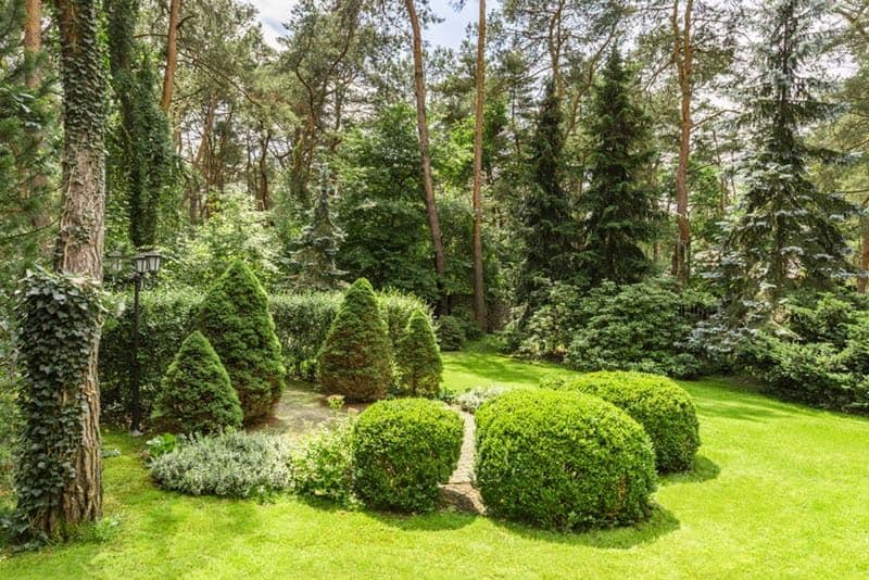 Tips for Landscaping Odd or Irregularly Shaped Yards